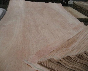 Wood Veneer