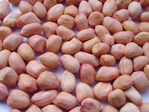 Peanut Kernels