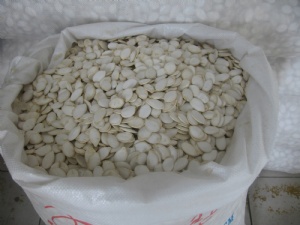 Snow White Pumpkin Seeds